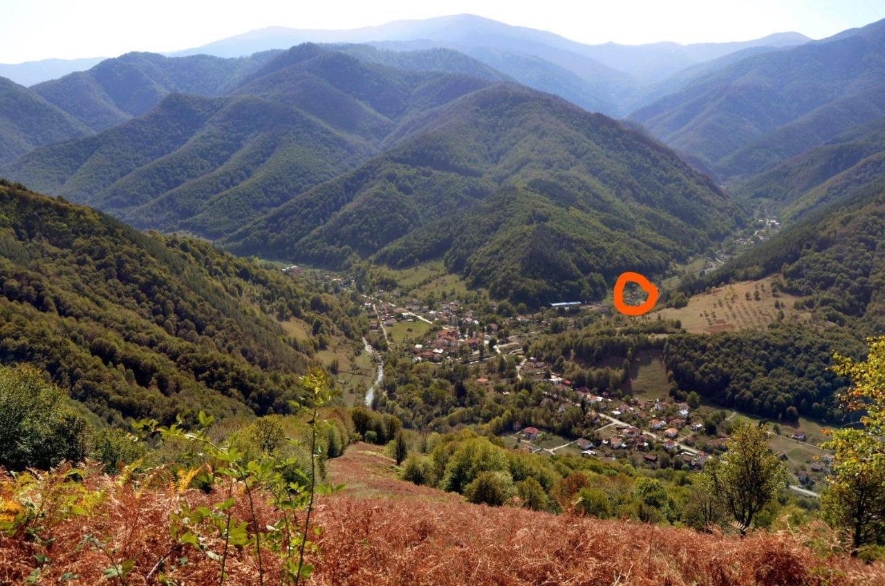 Вила Даяна Ribaritsa Dış mekan fotoğraf