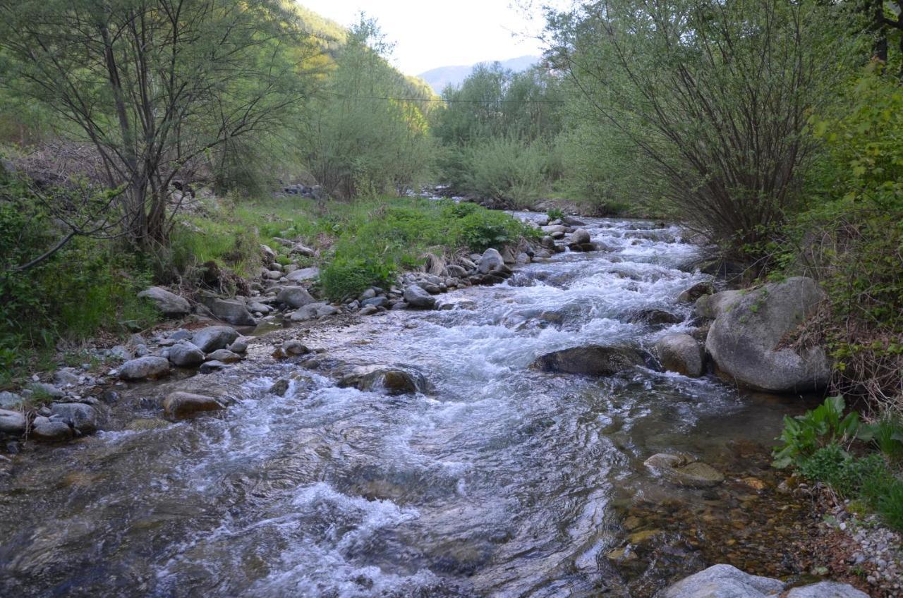 Вила Даяна Ribaritsa Dış mekan fotoğraf